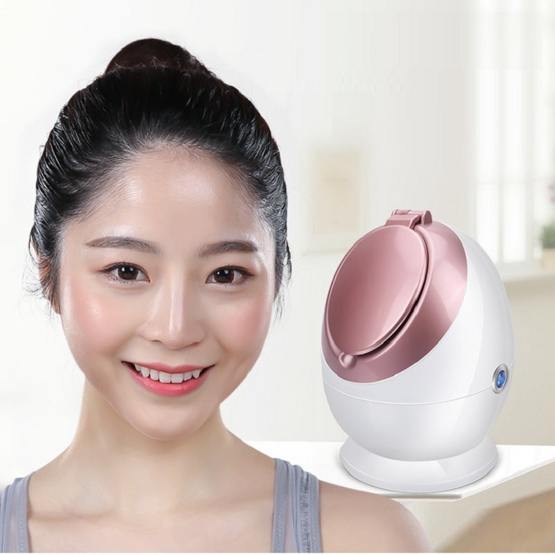 Portable Facial Steamer